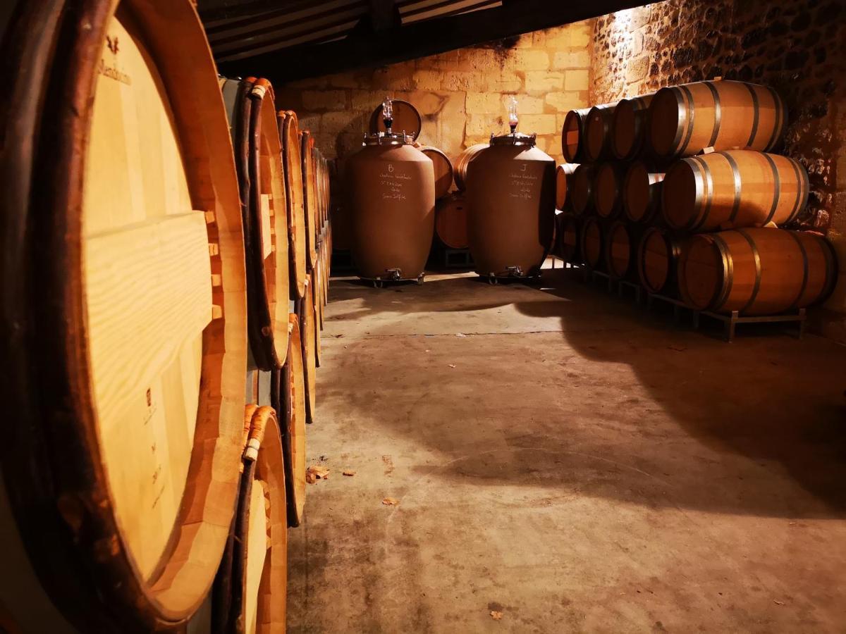 Chateau Cantelaube Saint-Émilion Buitenkant foto