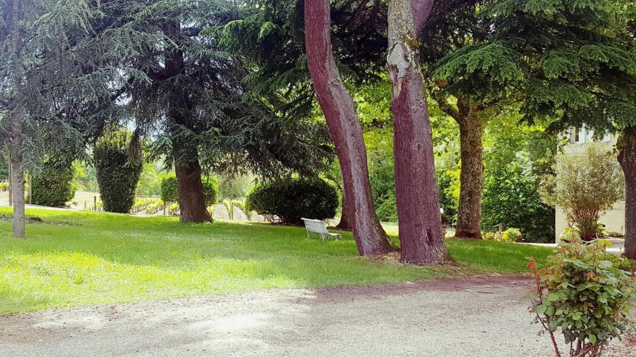 Chateau Cantelaube Saint-Émilion Buitenkant foto