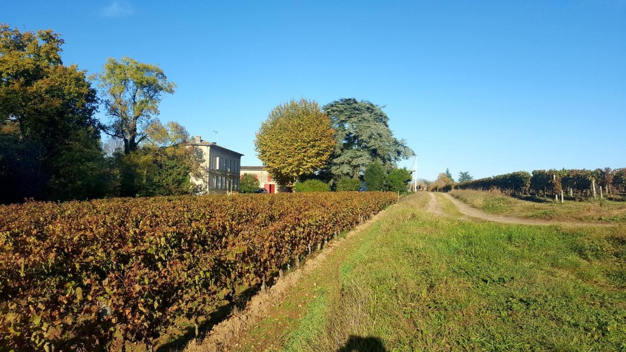 Chateau Cantelaube Saint-Émilion Buitenkant foto
